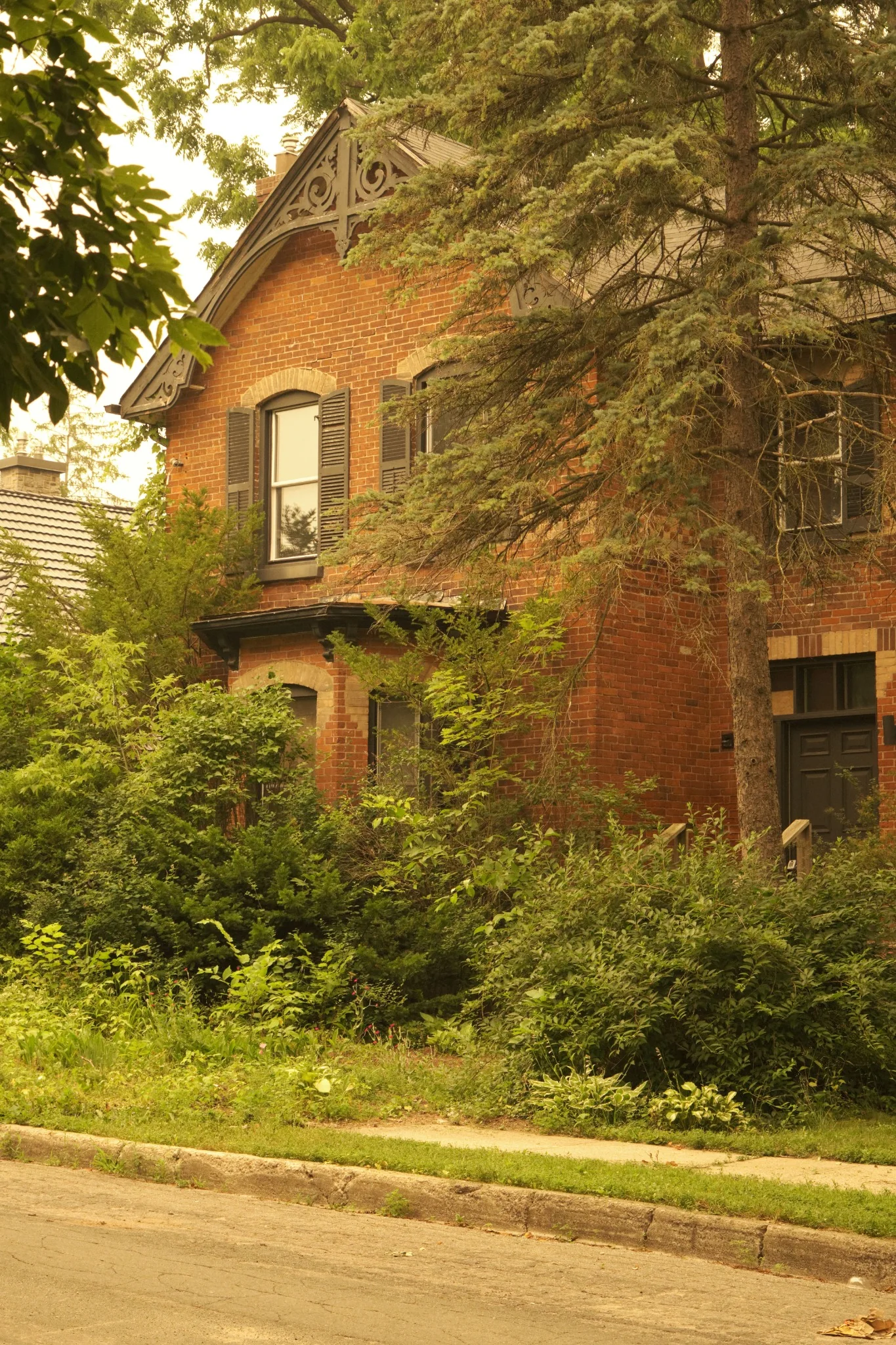 Red brick heritage home partially concealed by mature trees and garden growth