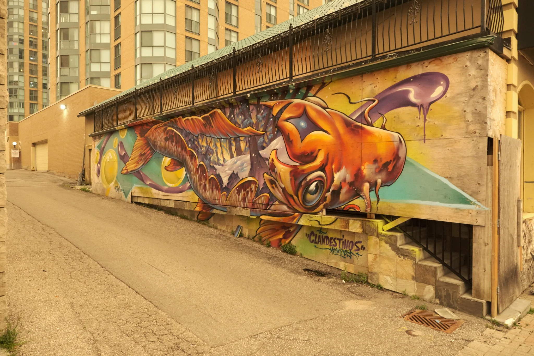 Large colourful fish mural painted along an urban alley wall