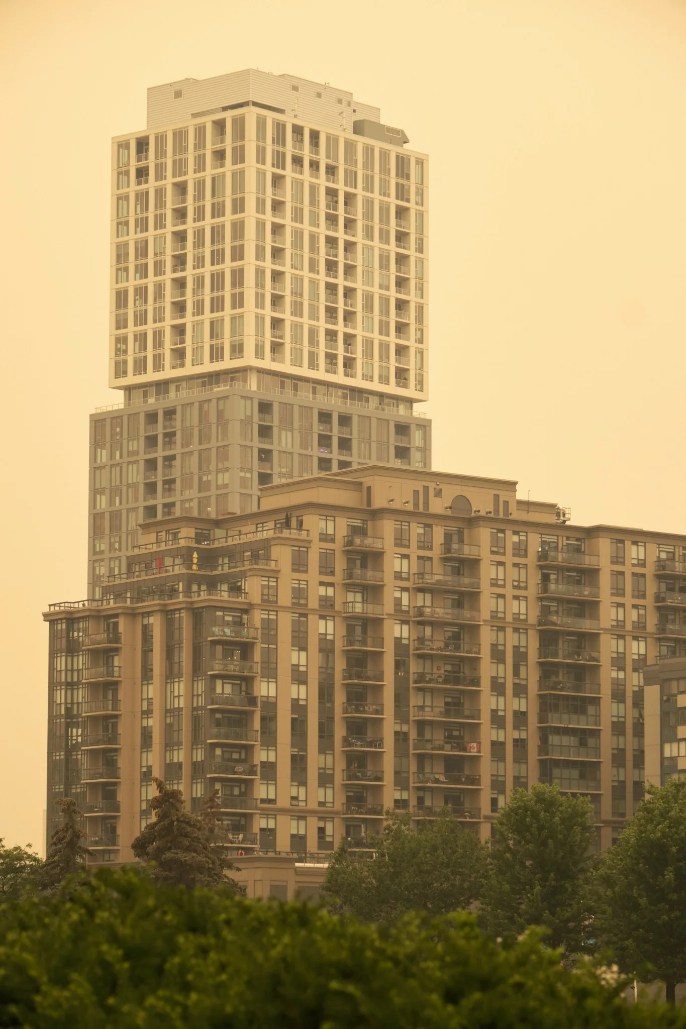 Layered residential towers rising above trees